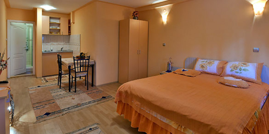 2500 din za noćenje u Delux studio apartman za 2-3 osobe sa bračnim krevetom + kupatilo sa tušem hidromasažerima + kuhinja + lCD, TV-Vila Sofija Zlatibor!