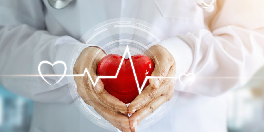 4790 din za Kardio sistematski pregled (pregled kardiologa, ekg, uz srca, kolor dopler krvnih sudova vrata, uz štitne žlezde-Gracia Medika!