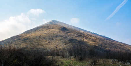 3990 din za noćenje sa doručkom za dvoje (gibanica sa sirom, mekike sa džemom i dobro poznati rtanjski čaj)+gratis kafa i čajevi za vreme boravka u pansionu "Radgost" na Rtnju!