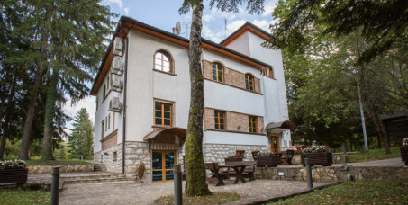 8320 din za noćenje sa doručkom za dve osobe u vili Drina na Perućcu!