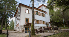 8320 din za noćenje sa doručkom za dve osobe u vili Drina na Perućcu!