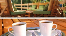 4490 din za dva noćenja za dvoje u sobi sa francuskim ležajem+doručak-Guesthouse Edelence!