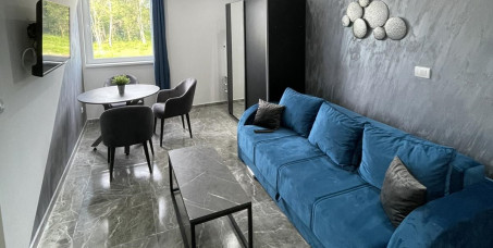 9000 din za dva noćenja za 2-4 osobe u apartmanu VILE BOROVA 2 na Srebrnom jezeru!