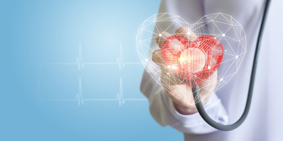 12000 din za kardiovaskularni skrining test (laboratorija,24h holter ekg-a i pritiska,uz vrata i srca,dopler vrata i srca,pregled kardiologa) u ordinaciji DR NESTOROV na Voždovcu!