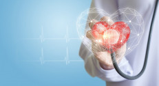 12000 din za kardiovaskularni skrining test (laboratorija,24h holter ekg-a i pritiska,uz vrata i srca,dopler vrata i srca,pregled kardiologa) u ordinaciji DR NESTOROV na Voždovcu!