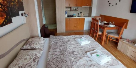 9120 din za dva noćenja za 2-3 osobe ili porodicu u Apartmanu 69 na Zlatiboru!