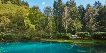 2200 din za jednodnevni izlet Vrelo Mlave - ergela  Ljubičevo - Tr&scaron;ka crkva - manastir Gornjak!
