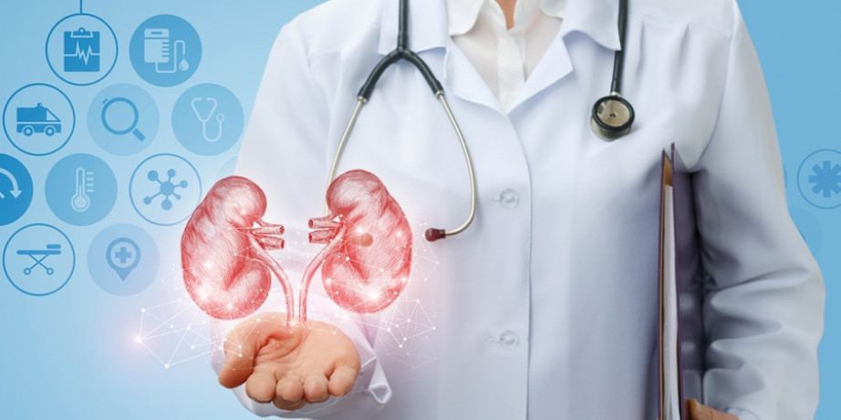 4900 din za Urološki pregled+ultrazvuk sa analizama prostate(PSA, Free PSA, Index  ...