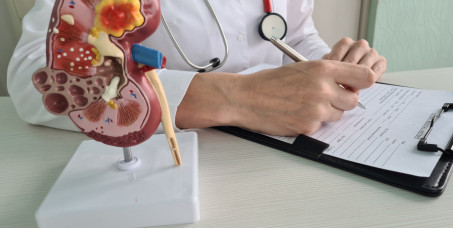 3800 din za nefrološki pregled+ultrazvuk abdomena u poliklinici Labomedica!