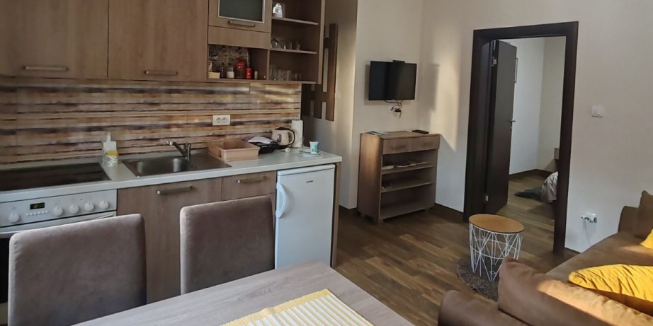 11250 din za dva noćenja za četvoročlanu porodicu ili 4 odrasle osobe u luksuznom apartmanu BOROVA IGLICA **** na Divčibarama!