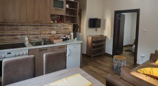 11250 din za dva noćenja za četvoročlanu porodicu ili 4 odrasle osobe u luksuznom apartmanu BOROVA IGLICA **** na Divčibarama!