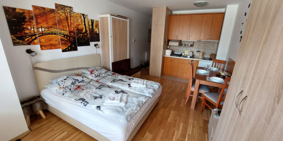 8750 din za dva noćenja za 2-3 osobe ili porodicu u Apartmanu 69 na Zlatiboru!