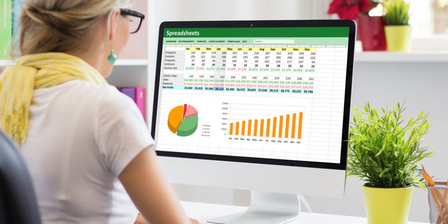 2890 din za online kurs Excel Lookup funkcije Masterclass
