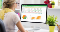 2890 din za online kurs Excel Lookup funkcije Masterclass