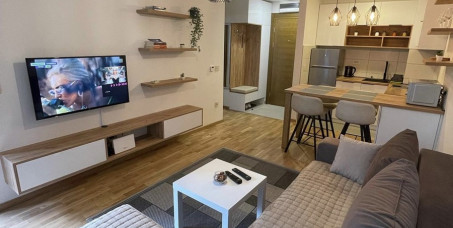 16520 din za 4 noćenja za 2-4 osobe + korišćenje spa centra 1h dnevno u apartmanu Planinski kutak na Zlatiboru!