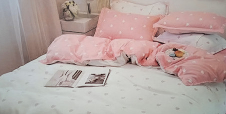 2790 din za posteljinu za francuski ležaj (čaršav, jorganska navlaka i dve jastučnice)!