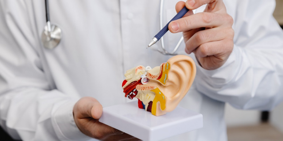 3300 din za pregled ORL specijaliste u klinici N&N Medicus u Mirijevu!