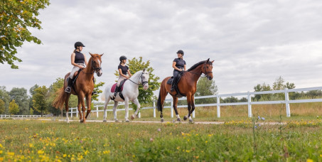 12500 din za petodnevni kamp (3h boravka,kupanje konja, hranjenje, sedlanje,četkanje) + 5 časova jahanja (po 30min) - udruženje Bela griva na Hipodromu!
