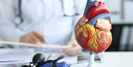 6300 din za ultrazvuk srca i holter krvnog pritiska u ordinaciji HERZ MEDIKA na Vračaru!