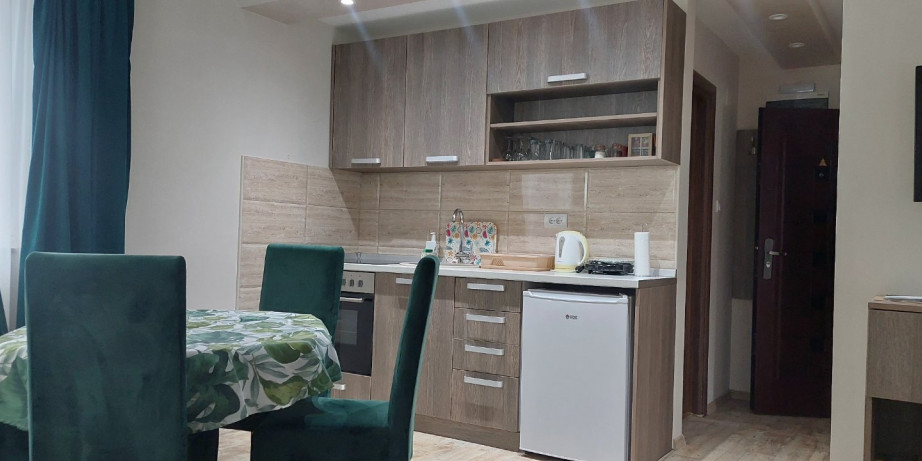 10630 din za dva noćenja za četvoročlanu porodicu ili 4 odrasle osobe u luksuznom apartmanu BOROVA IGLICA **** na Divčibarama!