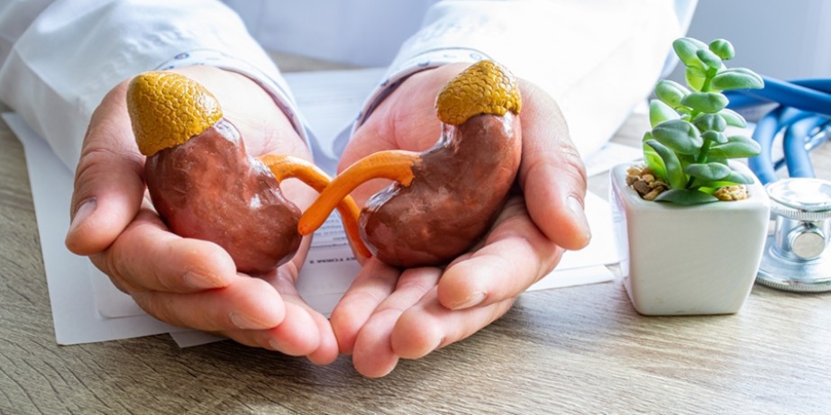 3900 din za nefrološki pregled+ultrazvuk abdomena - Millenium Medic!