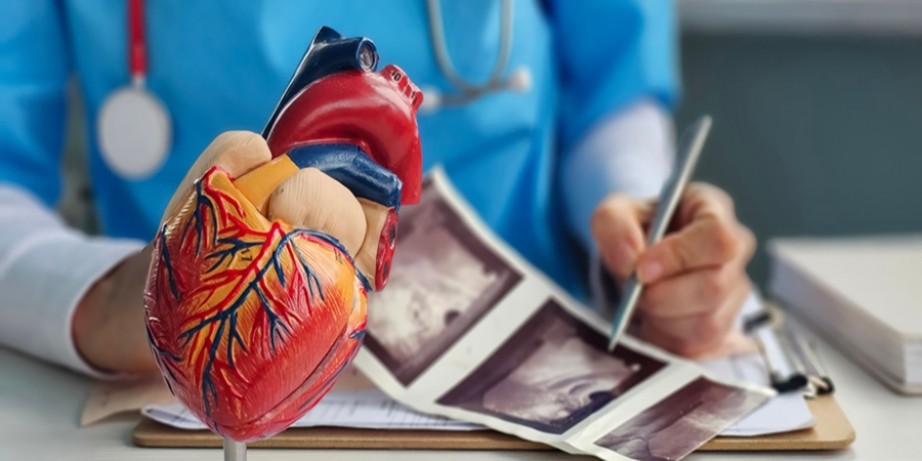 12000 din za kardiološki pregled, EKG, ultrazvuk srca,  holter EKG i holter krvnog pritiska u ordinaciji HERZ MEDIKA na Vračaru!