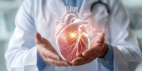 8000 din za ultrazvuk srca i holter EKG-a u HERZ MEDIKA na Vračaru!